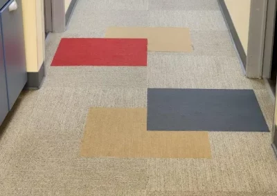 Carpet Cleaning Pacheco